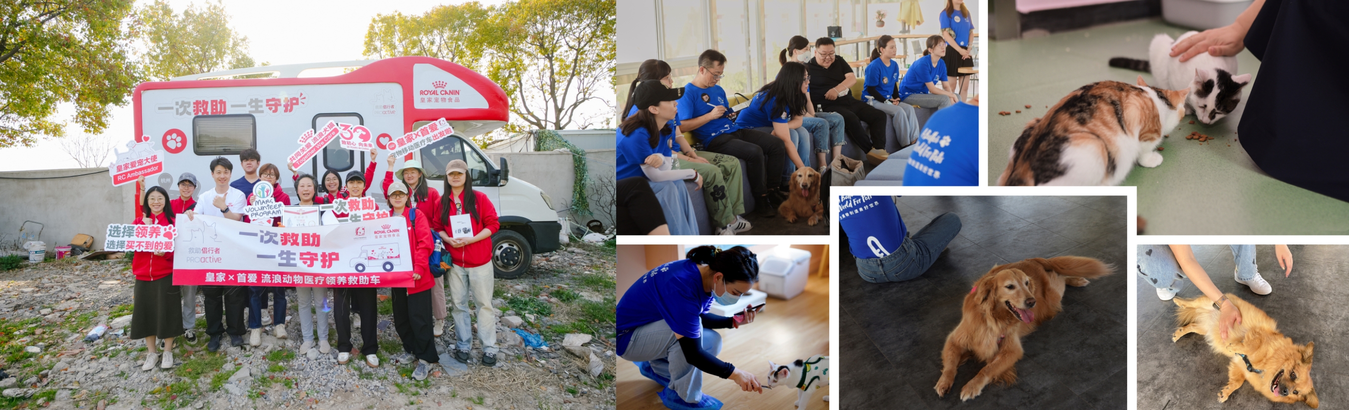 玛氏 影响力基金