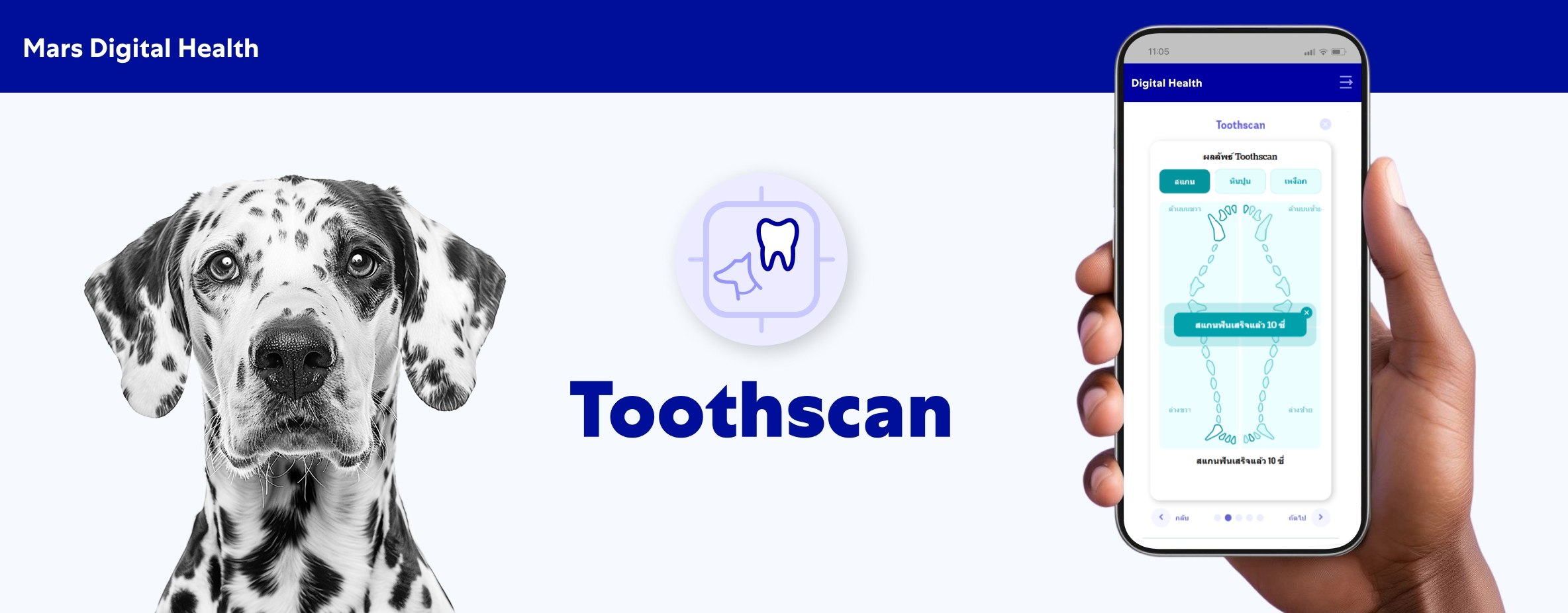 Toothscan Masthead