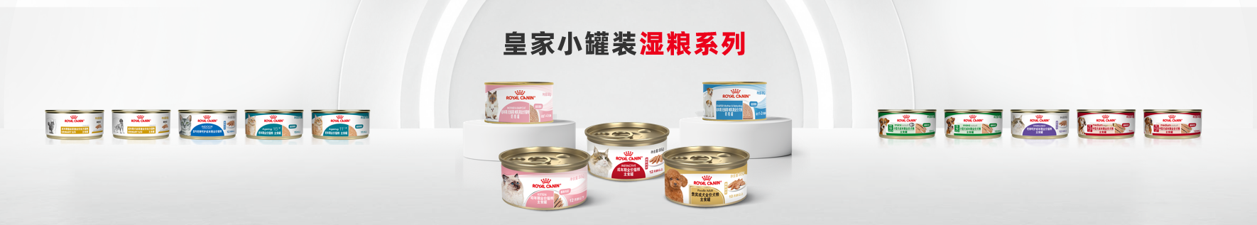 皇家 天津探厂