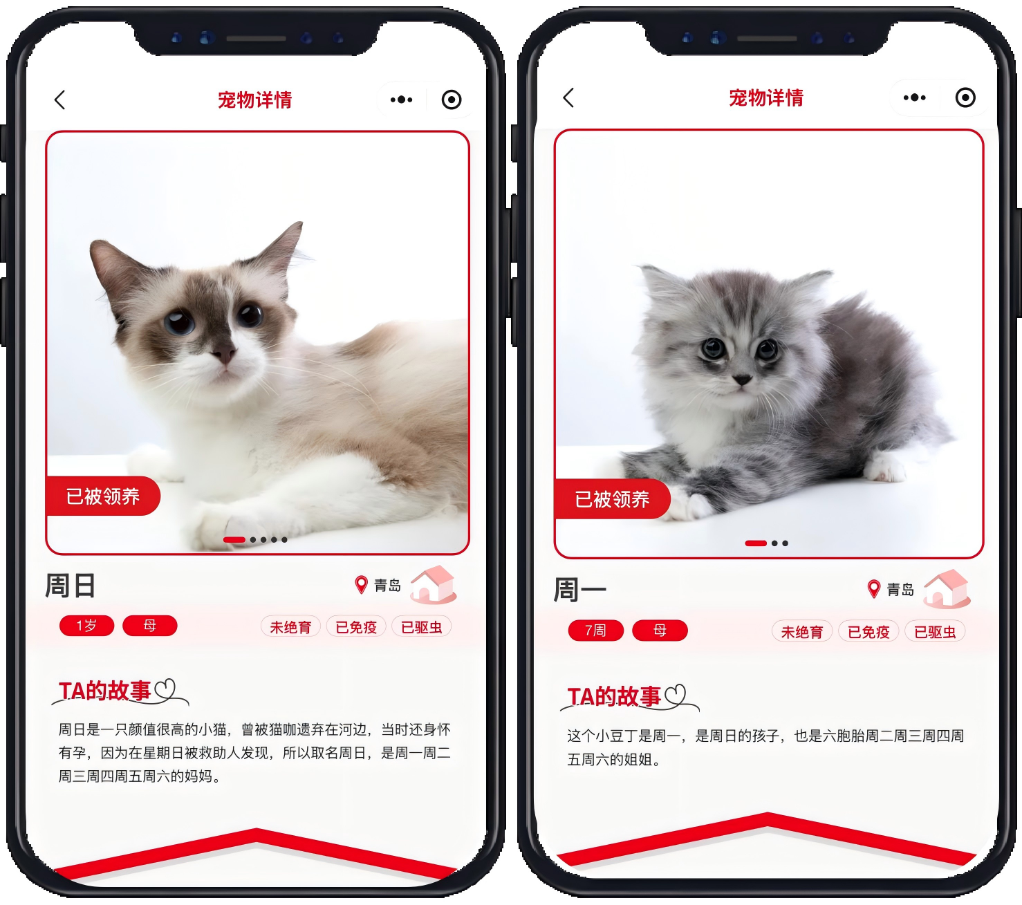 2026 皇家医疗车