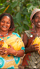 Cocoa Harvest Cote d'Ivoire