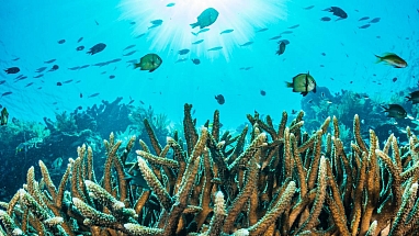 Stocksy txp6d17e105nvJ200 OriginalDelivery 2271187