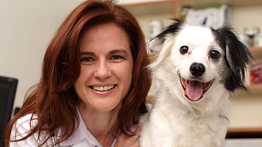 A veterinarian holding a dog at Banfield Pet Hospital