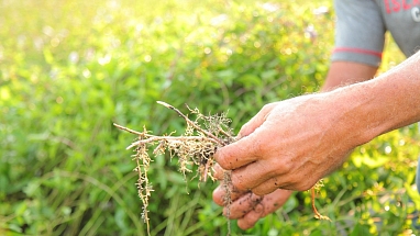 Creating Better Moments: A Fresh Look at Mint