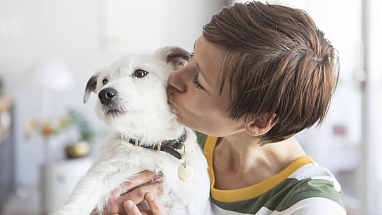 A person kissing their dog