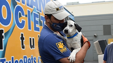 An employee with the Humane Society of Tulsa holds a shelter pet preparing for transport.
