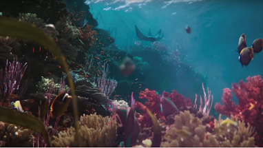 Creating hope for our oceans through coral reef restoration