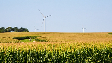 Apex Wind Farm