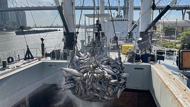 International Vessel Thailand