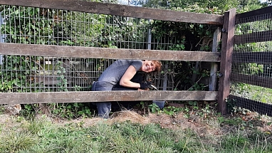 Mars_Petcare_MVP_Bremer_Tierheim_2