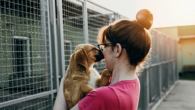 Woman holding a dog at an animal shelter