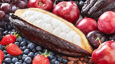 COSMOS article hero image