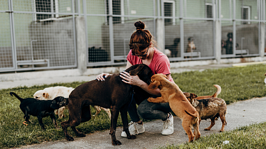 Woman playing with dogs outside at an animal shelter