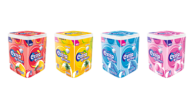 Collage Dosen EXTRA Refreshers