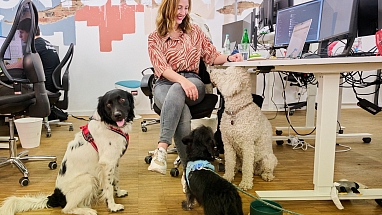 Mars_Petcare_PM_Kollege_Hund_Kollegin Hund_Buero