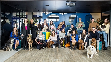 People in an office with dogs
