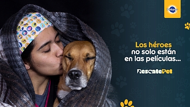 RESCATE PET