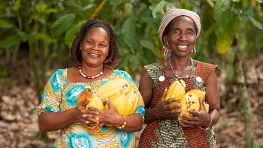 cocoa farmers
