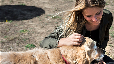 Better Cities for Pets