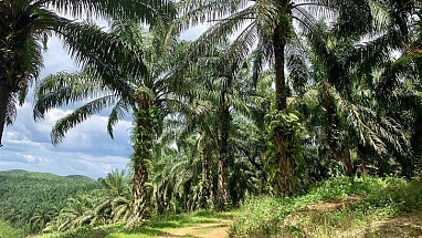 transparantie de toeleveringsketen essentieel