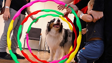 Dogoterapia Mars Polska, Fundacja Dr Clown