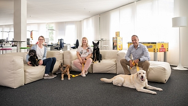 Hunde in Schweizer Büros