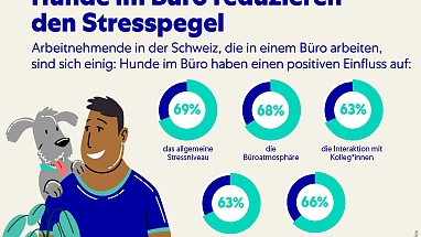 Hunde in Schweizer Büros