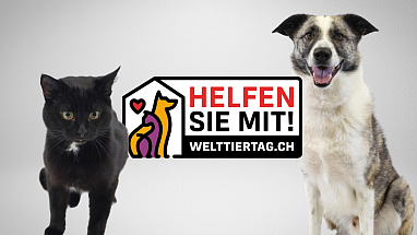 Tierische Love-Stories