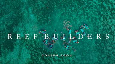 Zu sehen ist ein Korallenriff aus der Vogelperspektive, der Schriftzug "Reef Builder. Coming soon" ist darauf zu lesen.