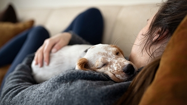 Person and a dog relaxing together