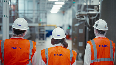 Factory workers