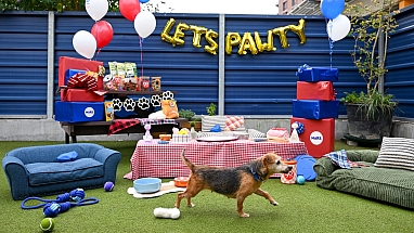 Battersea’s 9-year-old Jack Russell Terrier, celebrates DOGust with decorations, treats, friends, tail wags