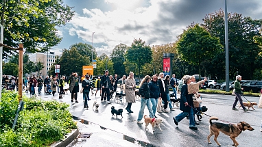 Mars_Petcare_Paw_Parade LQ