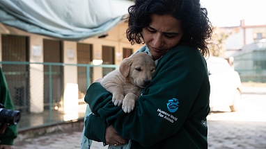 Woman holding a puppy
