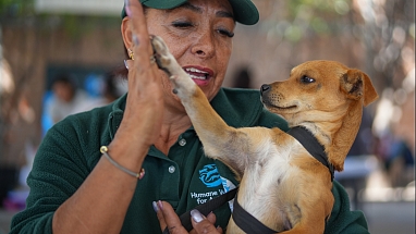 Woman holding a dog and touching her hand to the dog's paw