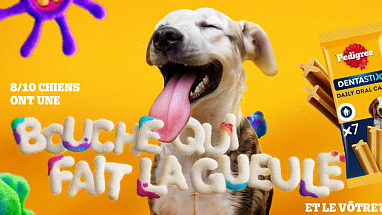 8/10 chiens ont une bouche qui fait la gueule