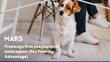 Raport Przewaga Firm Przyjaznych Zwierzętom
