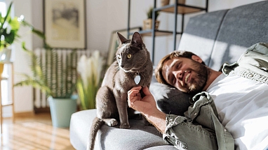 Picture of a young man who caresses a cat while lying on the sofa