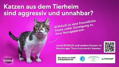 Mars_Wrigley_Studie_Adoption_Tierheimtiere