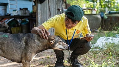 A Worldwide Veterinary Service volunteer crouching down to pet a dog.
