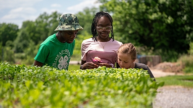 Kids looking at plants