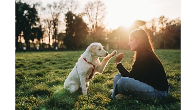 Woman and dog high-five