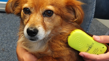 210819 Chiplesegeraet