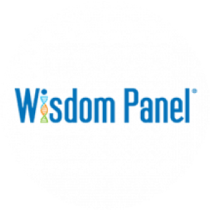 wisdom panel
