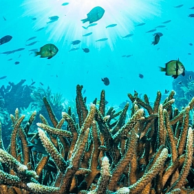 Stocksy txp6d17e105nvJ200 OriginalDelivery 2271187