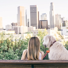 A woman sits with a dog on a bench in front of city buildings