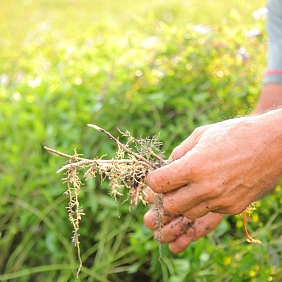 Creating Better Moments: A Fresh Look at Mint