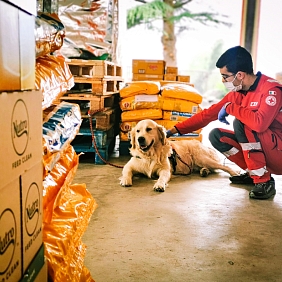 Mars delivers donations to a dog shelter Italy and an Italian Red Cross volunteer kneels down to pet a dog.
