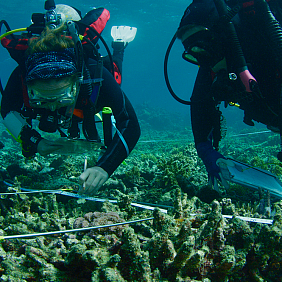 Two scuba divers undertake a scientific survey to install reef stars to Australia's Moore Reef.