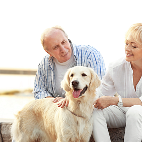 Mars Petcare & GSA Partner To Make Pets A Part Of The Conversation For Older Adults